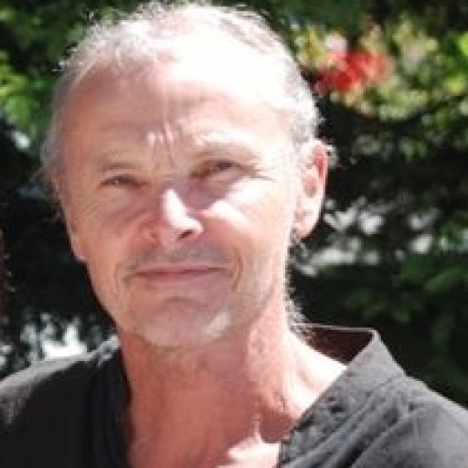 Michel Novi
